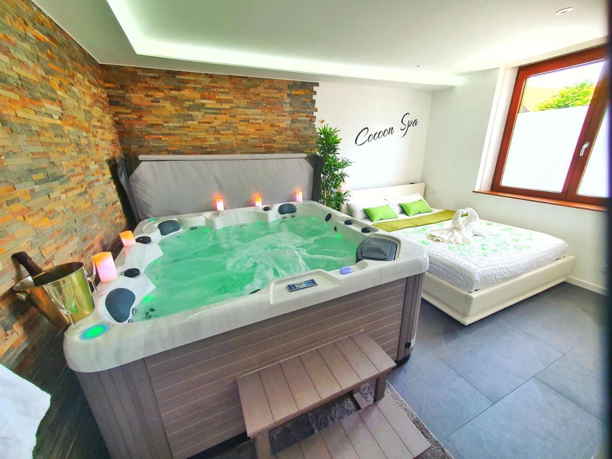 -Gite Cocoon Spa-Jacuzzi-Jardin-Parking Prive-Climatisation Holtzwihr Εξωτερικό φωτογραφία